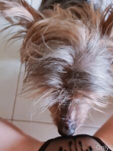 shufen exclusive onlyfans leaked nudes