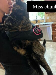 Fitbryceadams new hot onlyfans leaked nudes