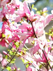 holly wolf new hot onlyfans leaked nudes