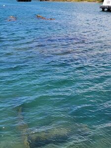 Ember Snow new hot onlyfans leaked nudes