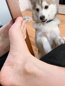 harriet sugarcookie new hot onlyfans leaked nudes