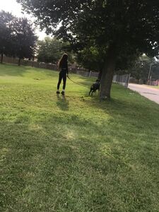 kristenn onlyfans leaks nude photos and videos