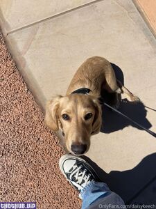 daisy keech onlyfans leaks nude photos