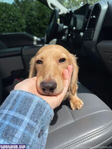 daisy keech onlyfans leaks nude photos