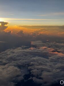 Missbella Onlyfans Latest Premium Leaks