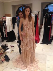 Super Hot Emma Watson Nudes Leaked on the Internet