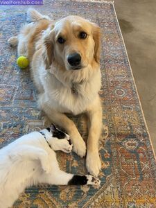 Peachjars Onlyfans Latest Nude Photo Leaks